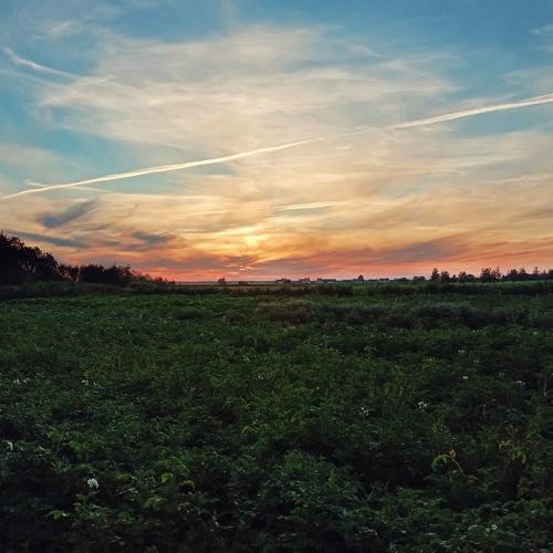 Photo #5029541