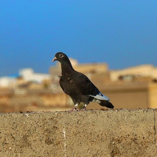 Photo #5029702