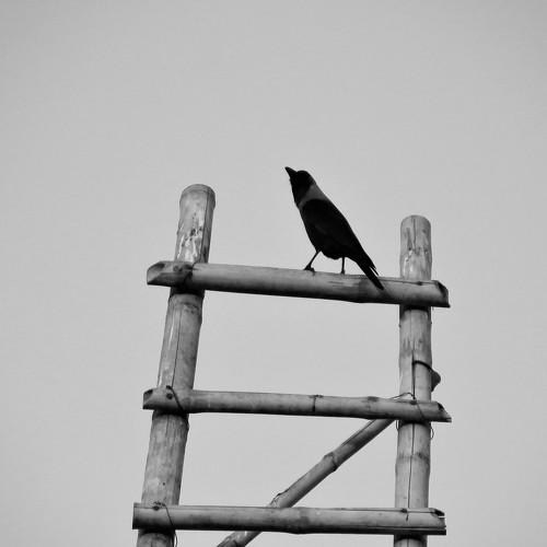 Alone