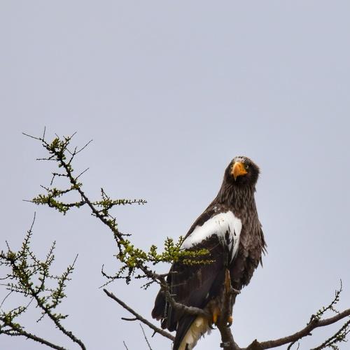Photo #5030312