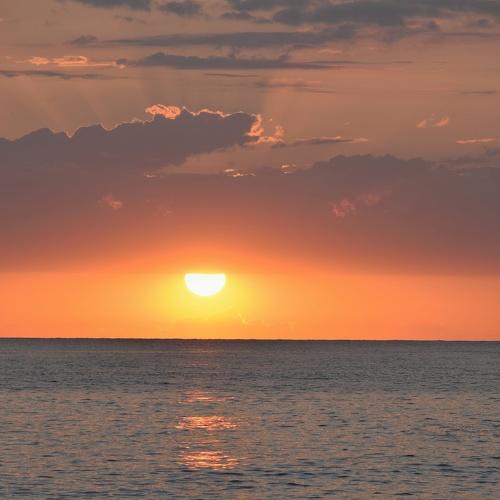 Photo #5030316