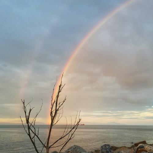 Photo #5030319