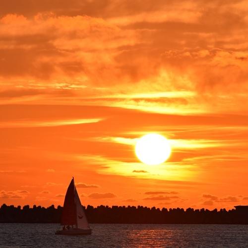 Photo #5030320