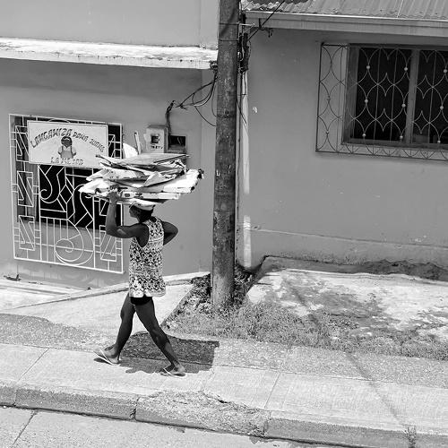 Photo #5030388