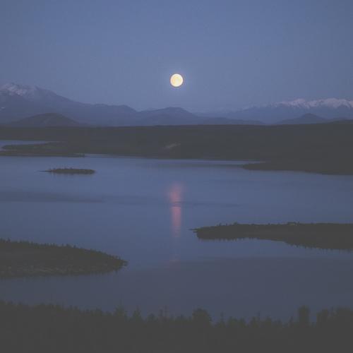 Photo #5031008