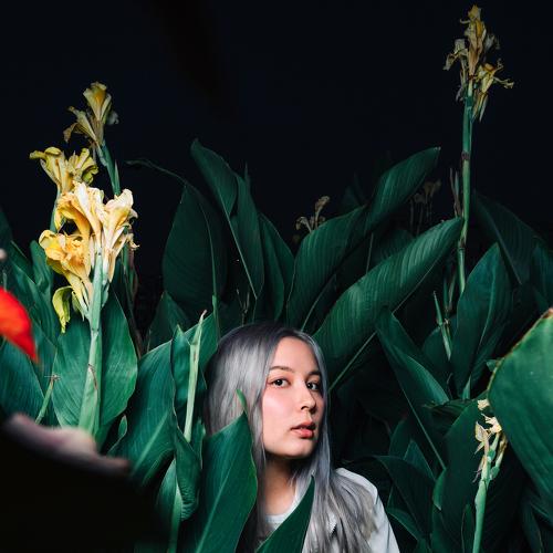 Photo #5031562