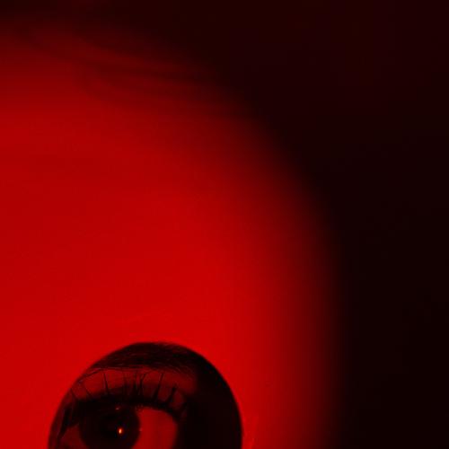 Photo #5031579