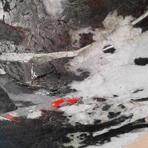 Photo #5031786