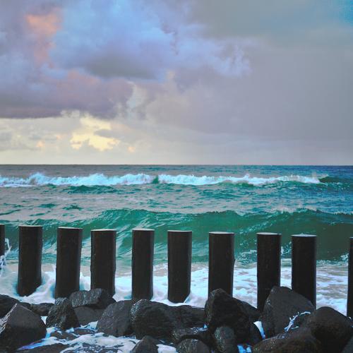 Photo #5032073