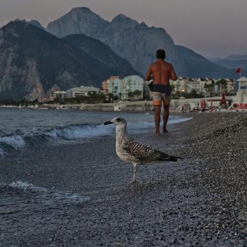 Photo #5032123