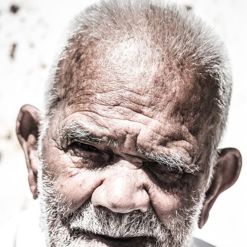 Photo #5032136