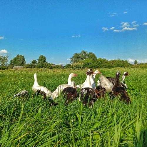 Photo #5032214
