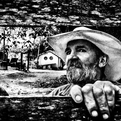 Photo #5032226
