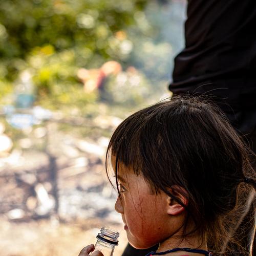 Photo #5032506