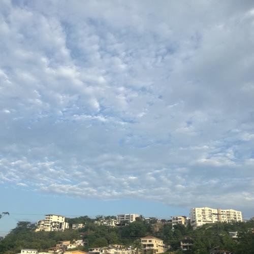 Photo #5032516