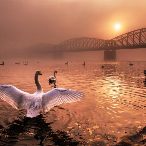 Greeting the Sun