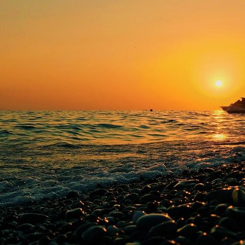 Photo #5033690