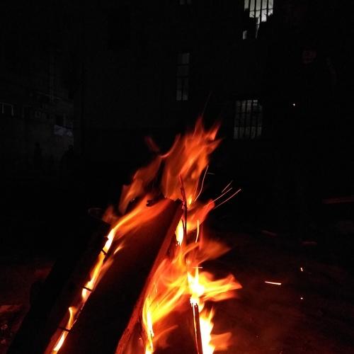 Photo #5033815