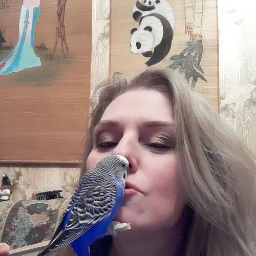 Photo #5034058