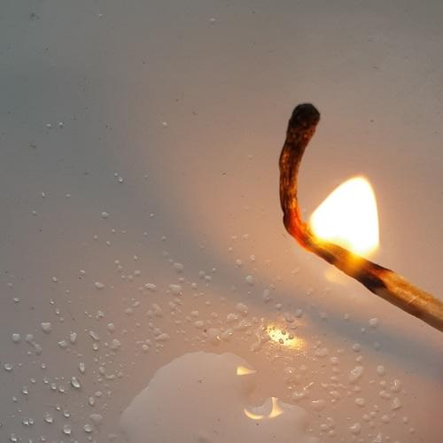 Photo #5034104