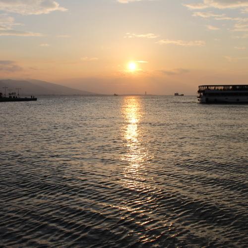 Photo #5034273