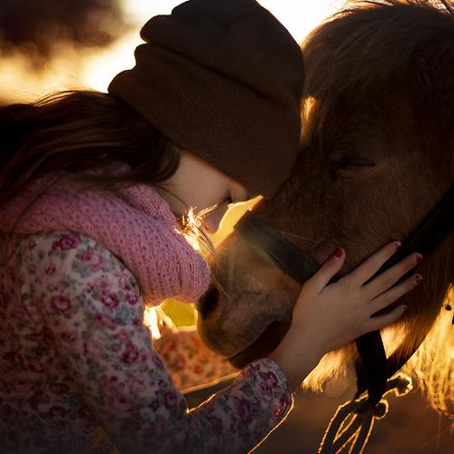 Photo #5034429