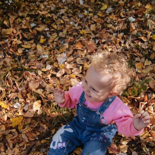Photo #5034514