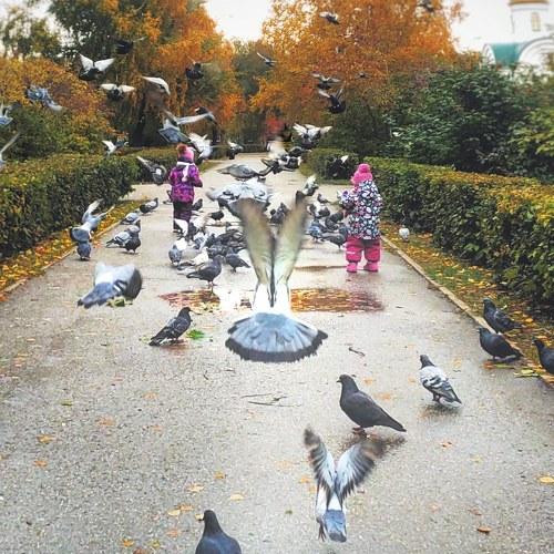 Photo #5034659