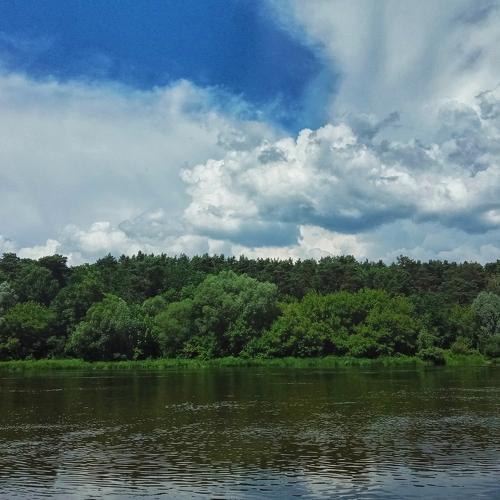 Photo #5034890