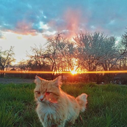 Photo #5035257