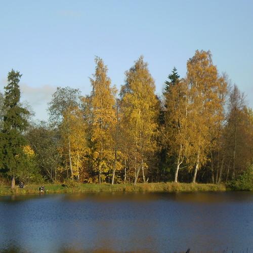 Photo #5035468