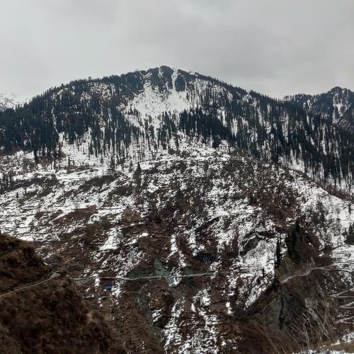 Photo #5035509