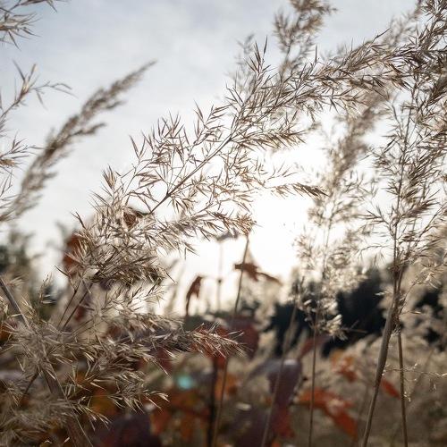 Photo #5035629