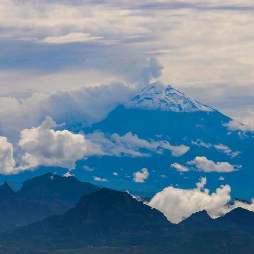 Photo #5035722