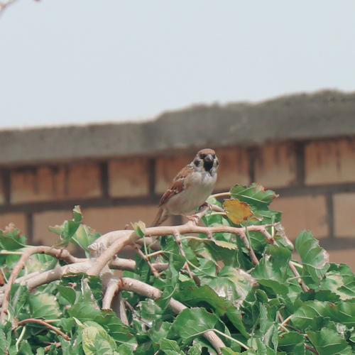 Photo #5035786