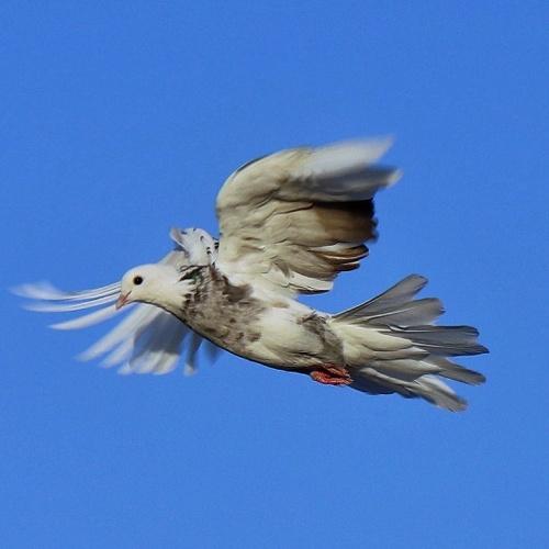 Photo #5035795