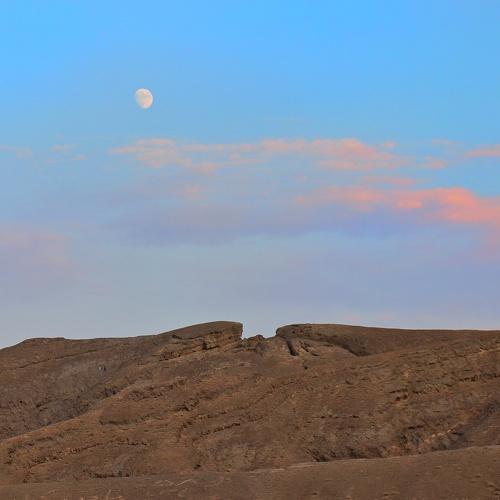 Photo #5035843