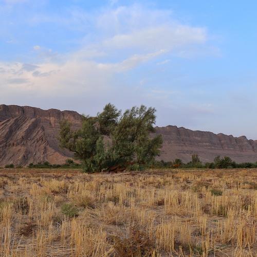Photo #5035860