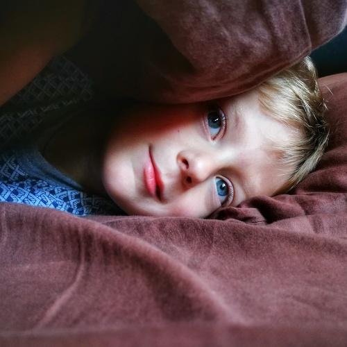 Photo #5036402
