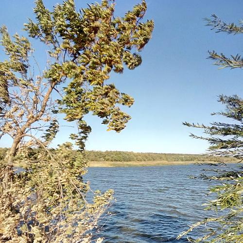 Photo #5036982