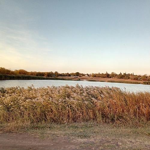 Photo #5037018