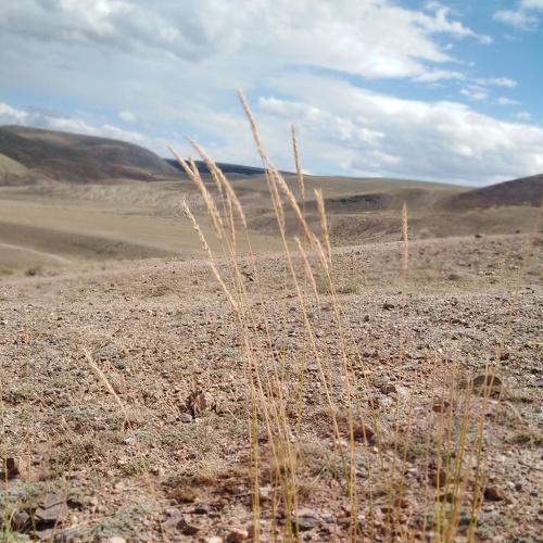 Photo #5037544