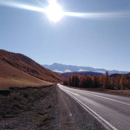 Photo #5037583