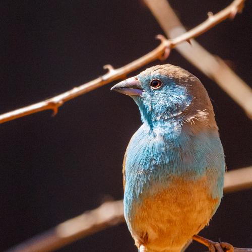 Photo #5037865