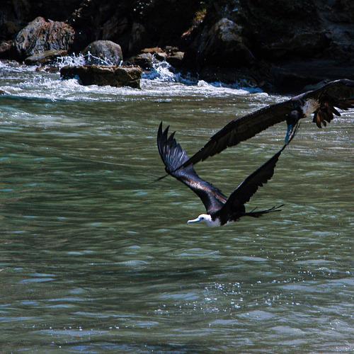 Photo #5038168