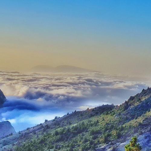 Zeba Ziarat