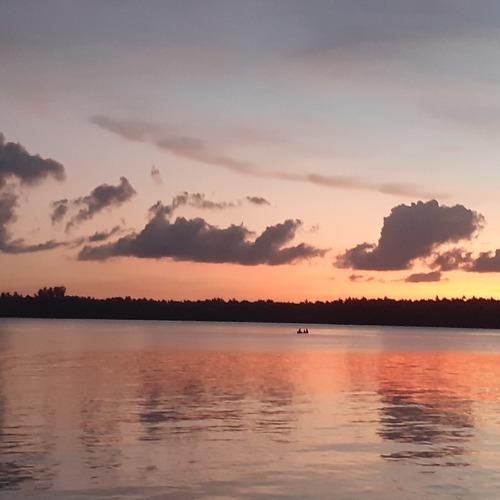Photo #5038253