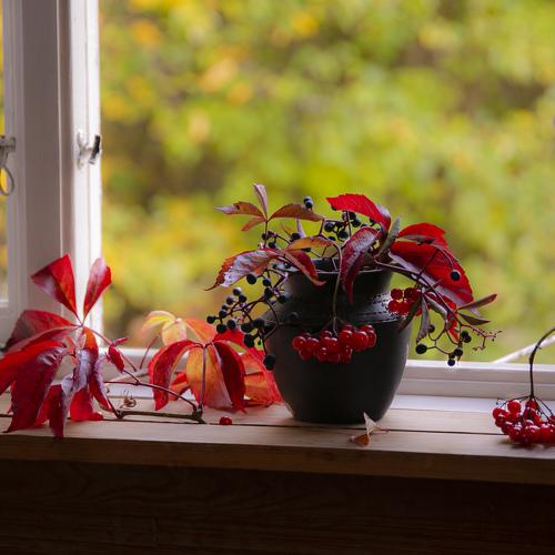 Photo #5038293