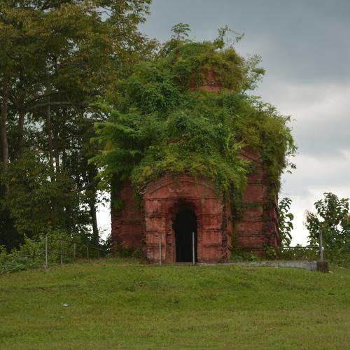 Photo #5038314