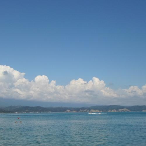 Photo #5038869